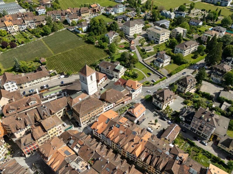 Maison multifamiliale historique dans un emplacement idéal (7)