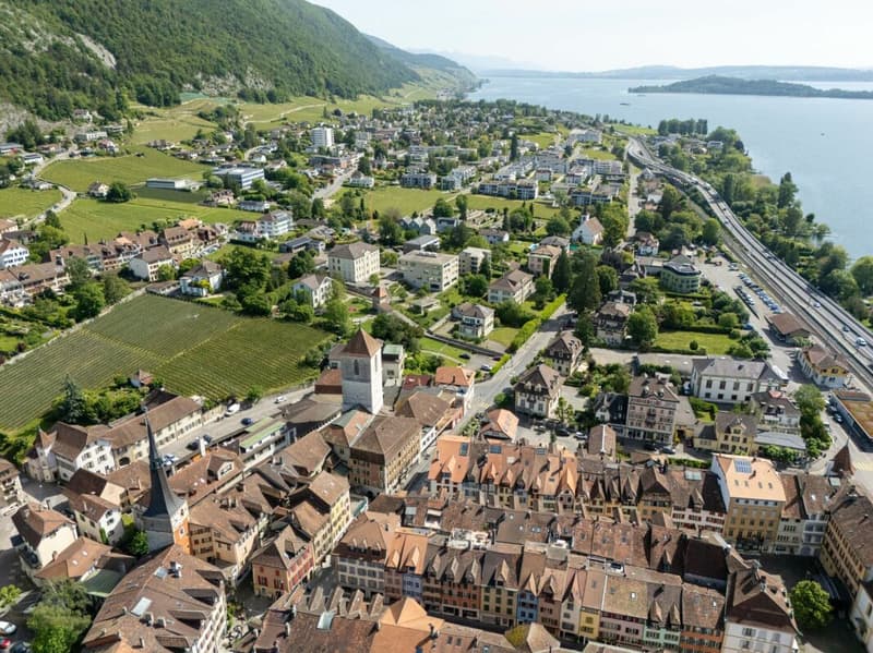 Maison multifamiliale historique dans un emplacement idéal (6)