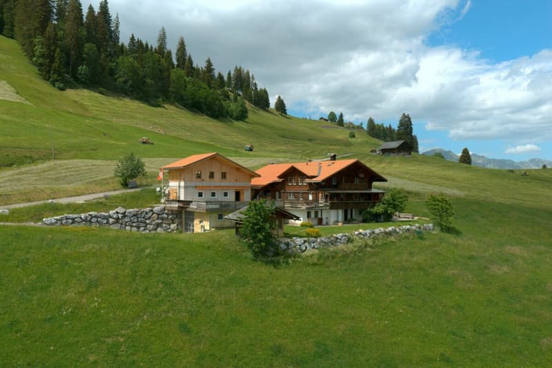 Chalet Bärgblick - Schwarzelenfang 694, Boltigen (1)