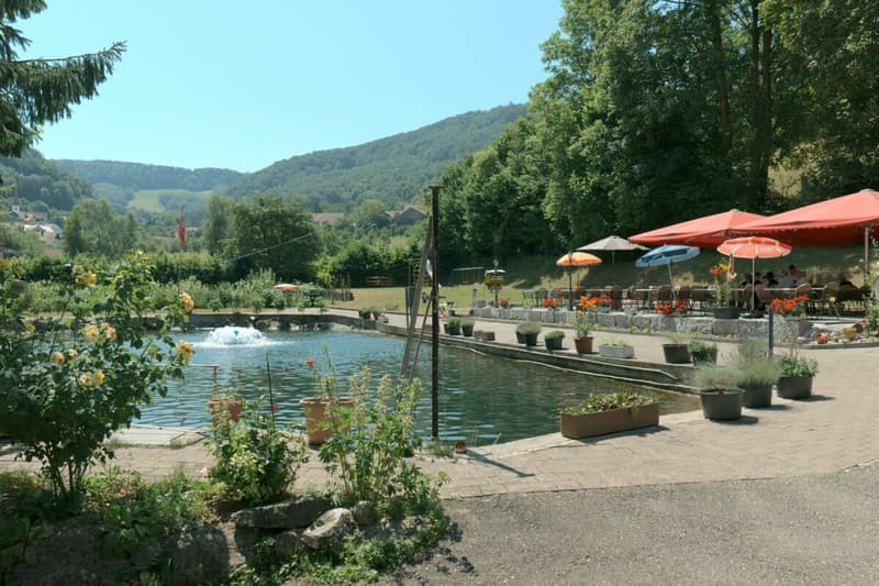 Ristorante «Forellenhof» - Wittnauerstrasse 201, 4468 Kienberg (10)