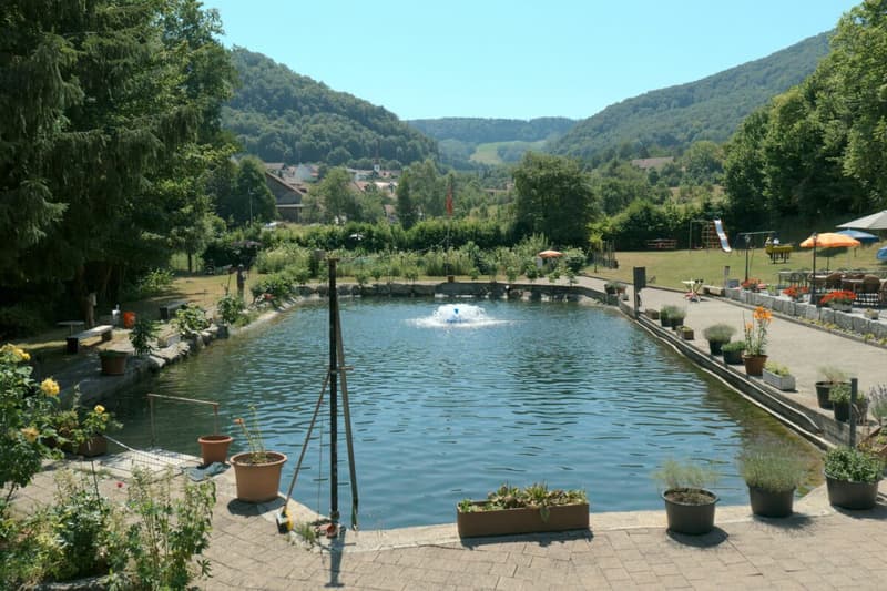 Ristorante «Forellenhof» - Wittnauerstrasse 201, 4468 Kienberg (3)