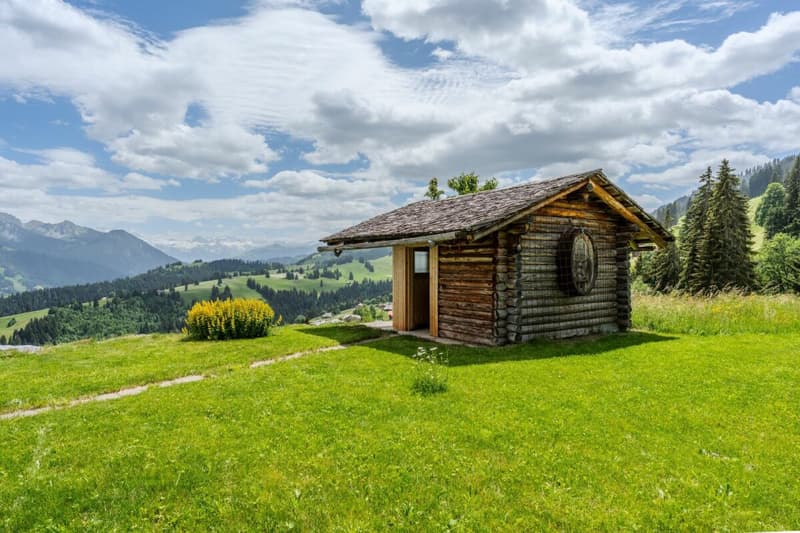 Chalet Bärgblick - Schwarzelenfang 694, Boltigen Copia (18)