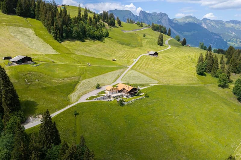 Chalet Bärgblick - Schwarzelenfang 694, Boltigen Copia (28)