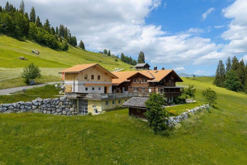 Chalet Bärgblick - Schwarzelenfang 694, Boltigen Copia (27)