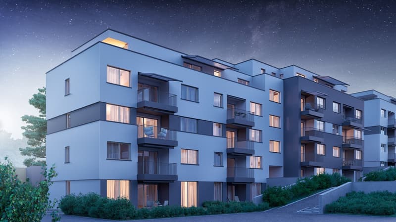 The last modern 2.5-room apartment with outdoor space (6)
