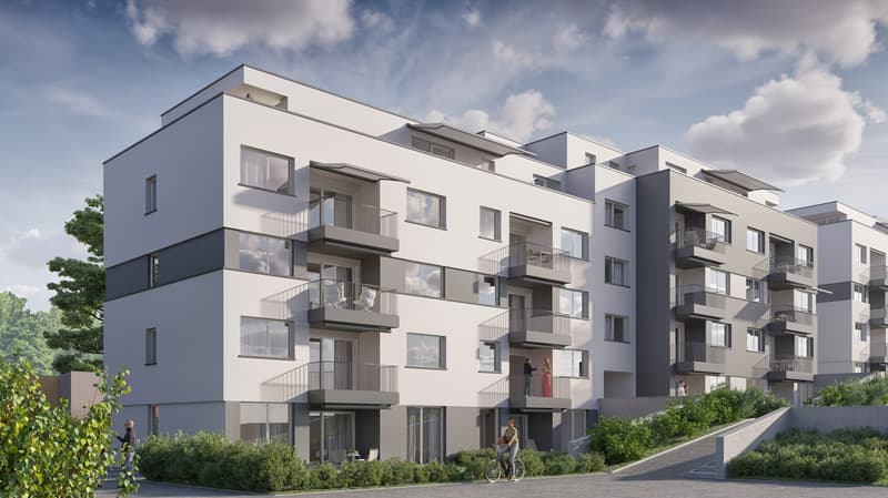 Letzte Gelengenheit 3.5-Attika-Wohnung (3)