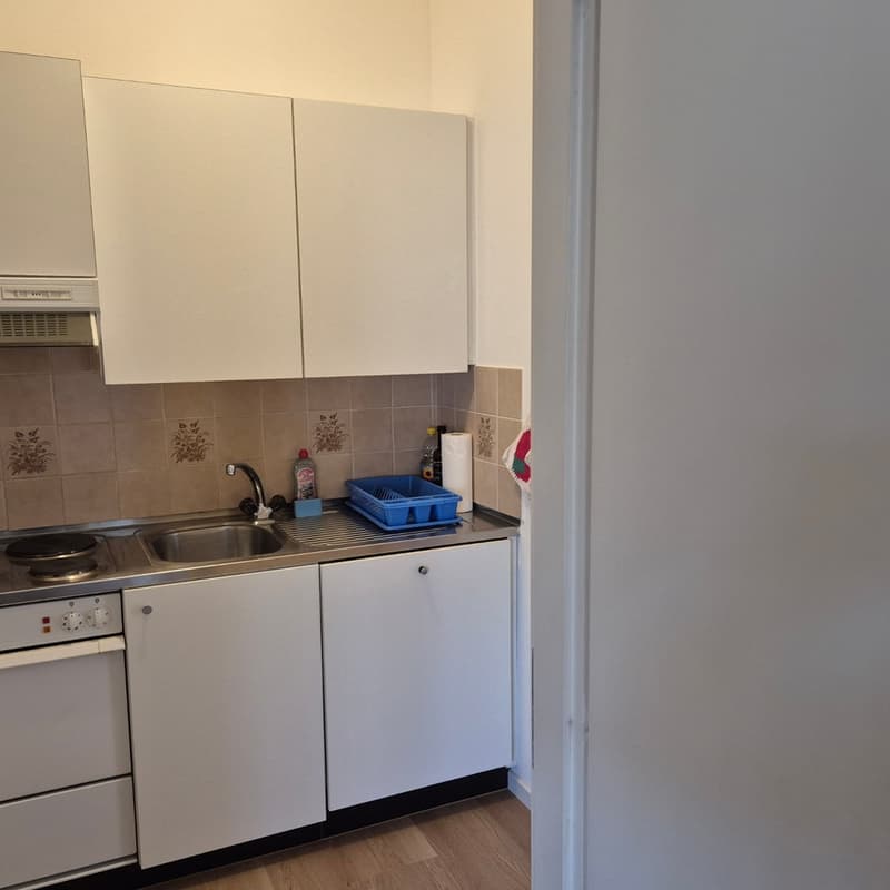 2 ZI-WOHNUNG IN VIGANELLO (TI), MÖBLIERT, TEMPORÄR (6)