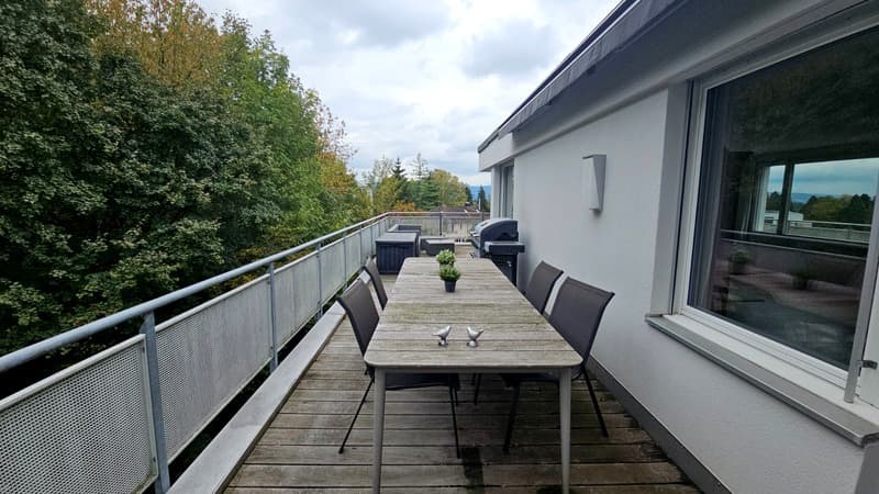 4½ ZI-WOHNUNG IN ZOLLIKON (ZH), MÖBLIERT, TEMPORÄR (9)