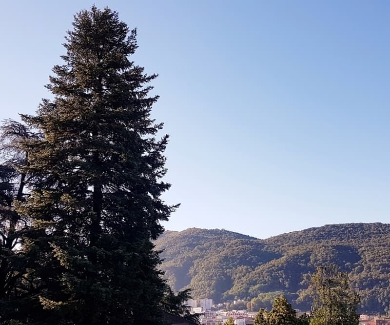1½ ZI-WOHNUNG IN VACALLO (TI), MÖBLIERT (10)