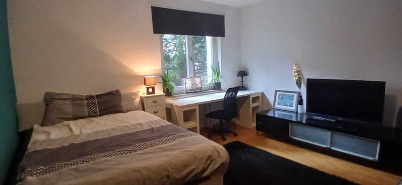 2½ ZI-WOHNUNG IN ST. GALLEN - ROSENBERG, MÖBLIERT, TEMPORÄR (2)