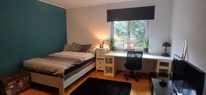 2½ ZI-WOHNUNG IN ST. GALLEN - ROSENBERG, MÖBLIERT, TEMPORÄR (1)