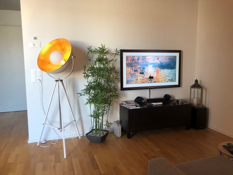 2½ ZI-WOHNUNG IN MURI (AG), MÖBLIERT, TEMPORÄR (1)