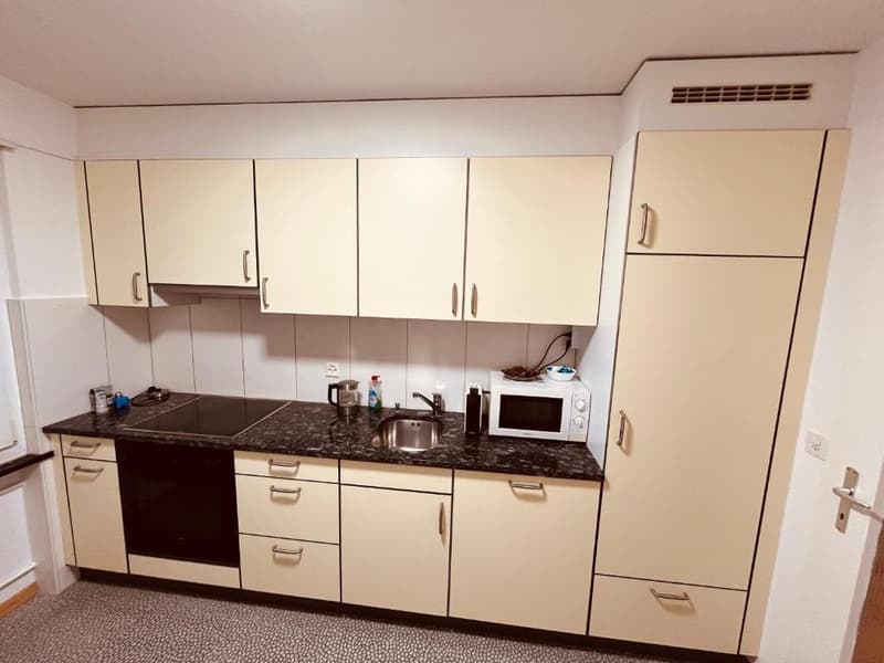 3½ ZI-WOHNUNG IN WYNAU (BE), MÖBLIERT, TEMPORÄR (7)