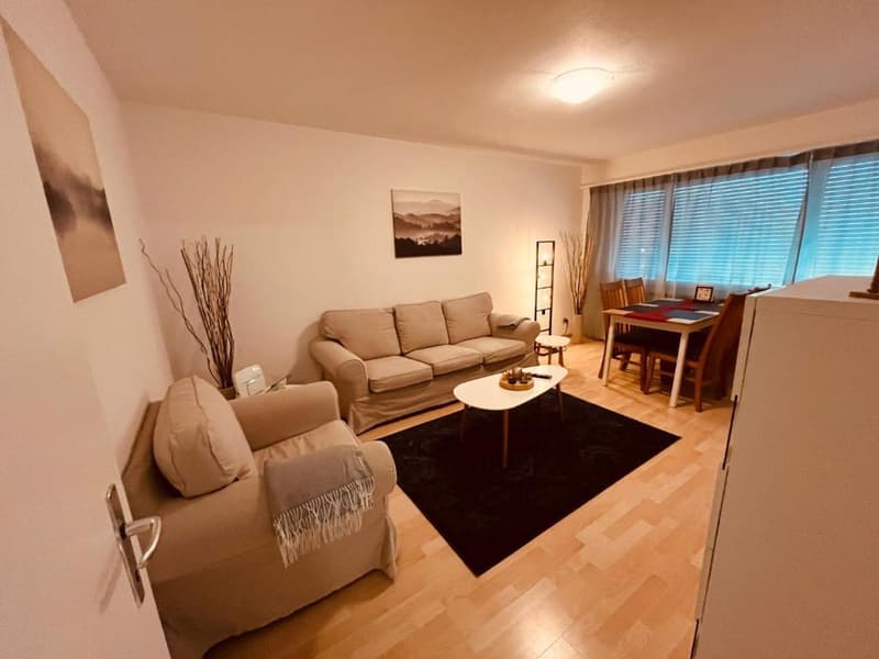 3½ ZI-WOHNUNG IN WYNAU (BE), MÖBLIERT, TEMPORÄR (1)