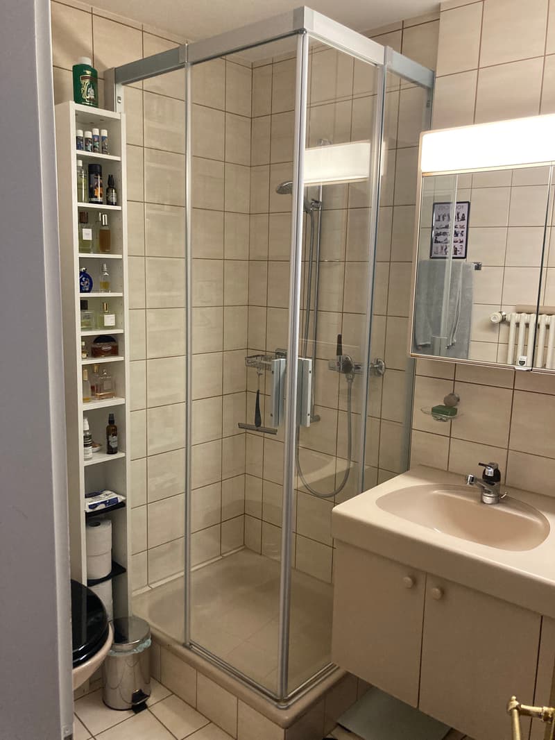 3½ ZI-WOHNUNG IN BASEL - ALTSTADT/GROSSBASEL, MÖBLIERT, TEMPORÄR (10)