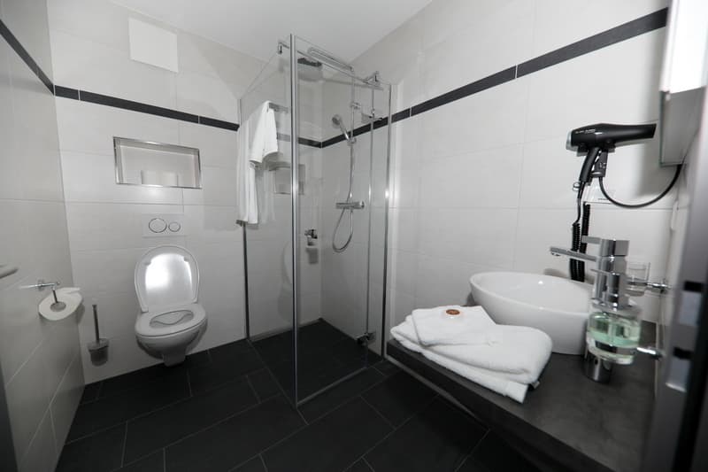 1 ZI-WOHNUNG IN REICHENBURG (SZ), MÖBLIERT (6)
