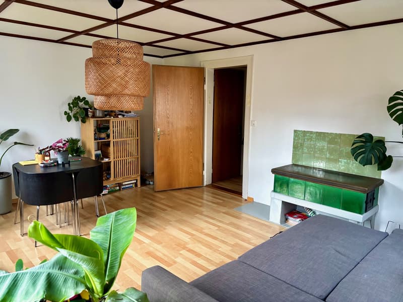 4 ZIMMER-HAUS IN LANGENTHAL (BE), MÖBLIERT, TEMPORÄR (3)