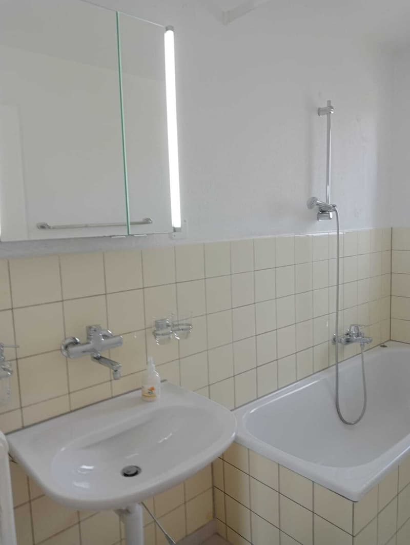 5 ZI-WOHNUNG IN EGG B. ZÜRICH (ZH), MÖBLIERT (8)