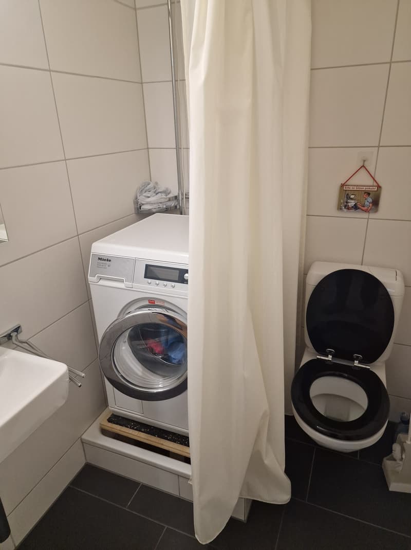 3½ ZI-WOHNUNG IN FEHRALTORF (ZH), MÖBLIERT, TEMPORÄR (8)