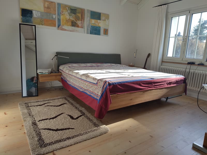 4½ ZIMMER-HAUS IN BERN - LIEBEFELD, MÖBLIERT, TEMPORÄR (5)