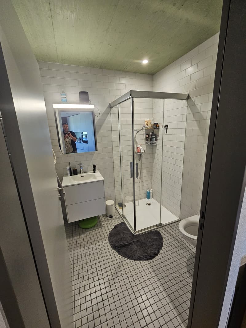 3½ ZI-WOHNUNG IN ZUCHWIL (SO), MÖBLIERT, TEMPORÄR (10)