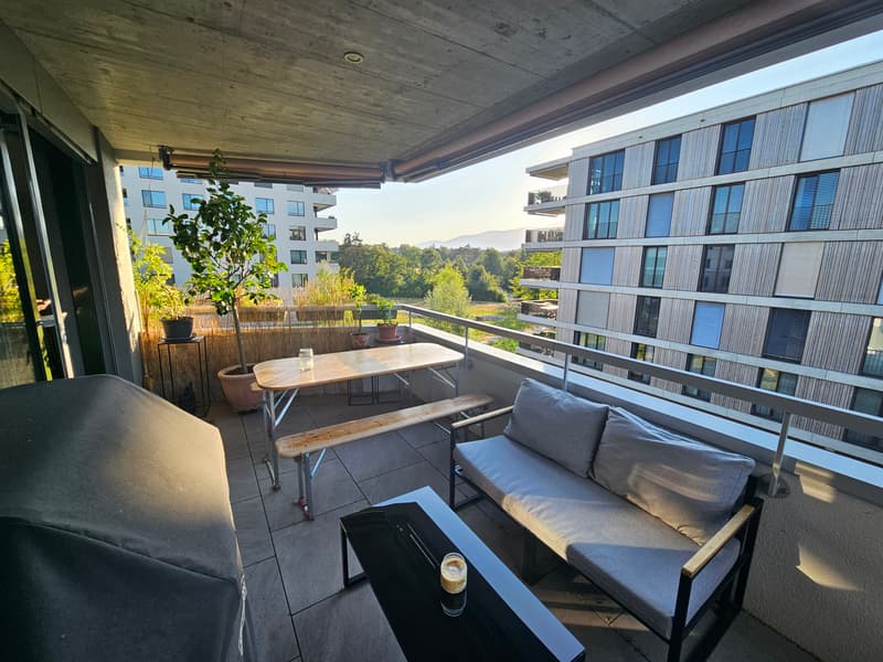 3½ ZI-WOHNUNG IN ZUCHWIL (SO), MÖBLIERT, TEMPORÄR (7)