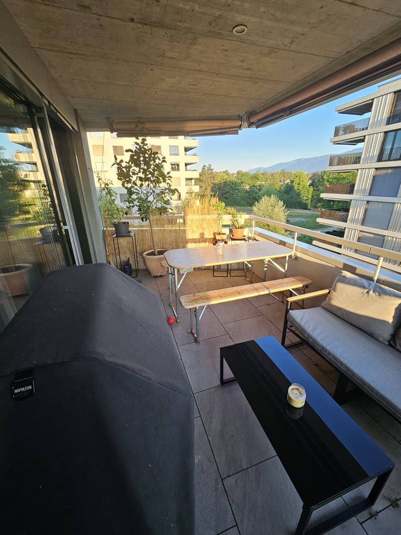 3½ ZI-WOHNUNG IN ZUCHWIL (SO), MÖBLIERT, TEMPORÄR (8)