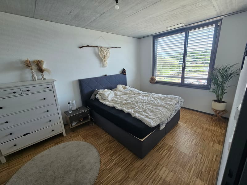 3½ ZI-WOHNUNG IN ZUCHWIL (SO), MÖBLIERT, TEMPORÄR (3)