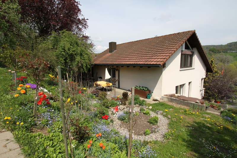 4½ ZIMMER-HAUS IN DIESSENHOFEN (TG), MÖBLIERT, TEMPORÄR (6)