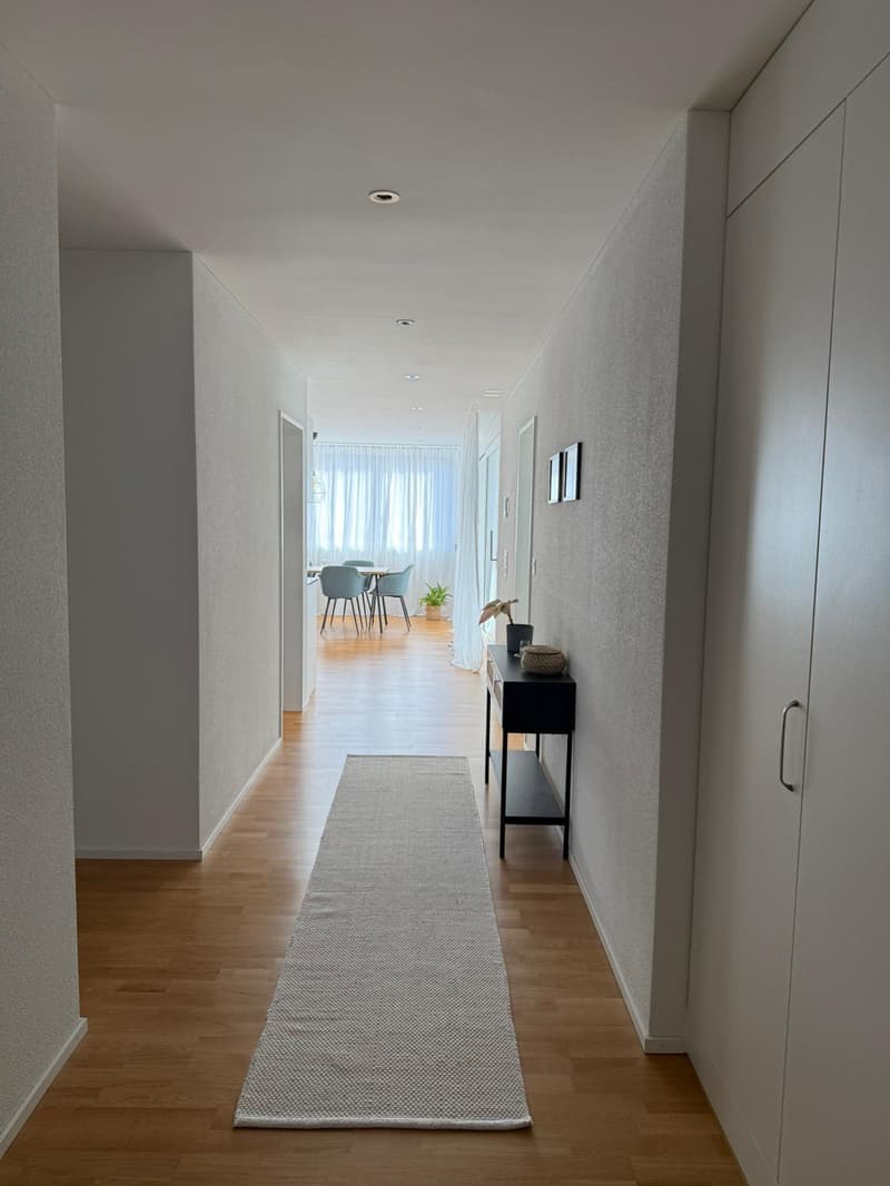 3½ ZI-WOHNUNG IN BRUNNEN (SZ), MÖBLIERT, TEMPORÄR (7)