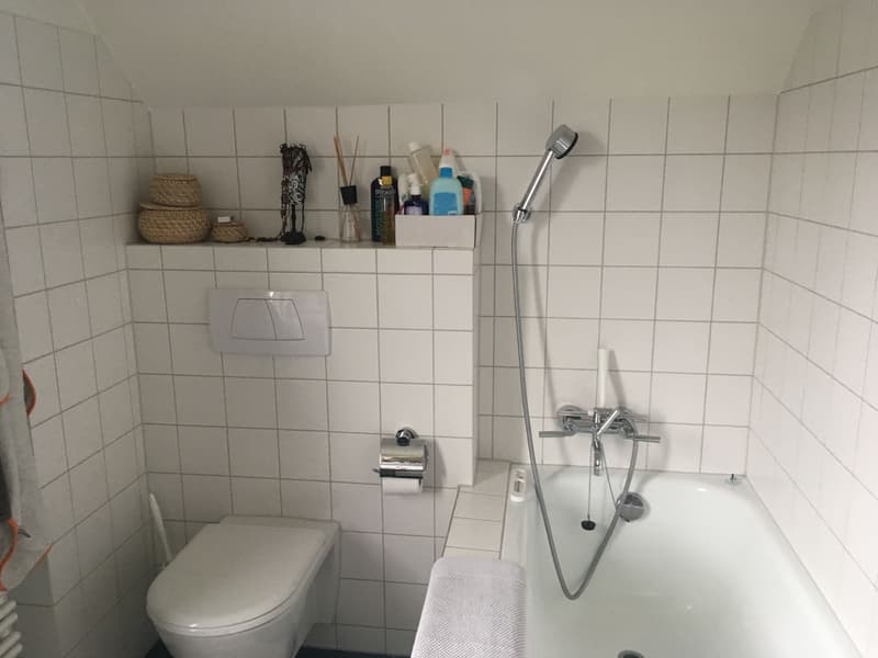 5½ ZIMMER-HAUS IN GISWIL (OW), MÖBLIERT, TEMPORÄR (8)