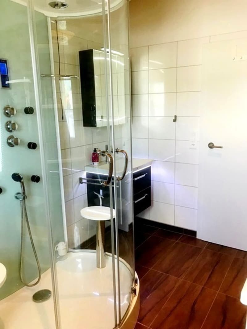 2½ ZI-WOHNUNG IN OBERGÖSGEN (SO), MÖBLIERT (4)