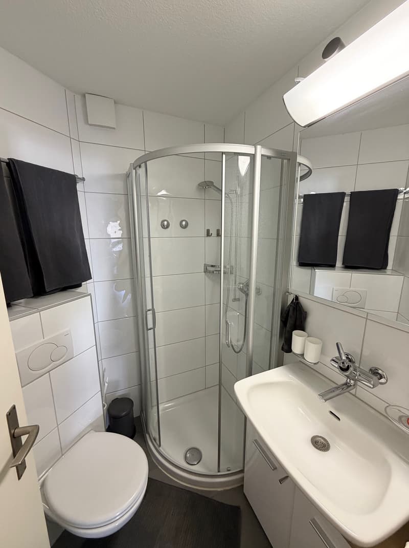 3½ ZI-WOHNUNG IN BADEN (AG), MÖBLIERT, TEMPORÄR (8)