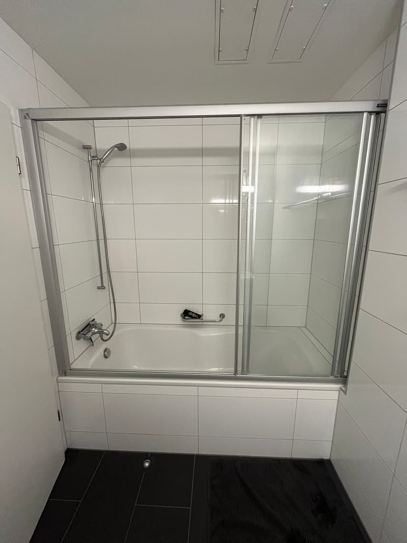 2½ ZI-WOHNUNG IN THUN (BE), MÖBLIERT, TEMPORÄR (7)