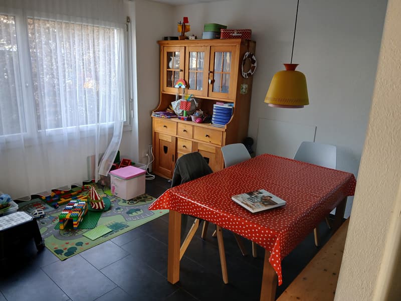 4½ ZIMMER-HAUS IN BUSSWIL B. BÜREN (BE), MÖBLIERT, TEMPORÄR (8)