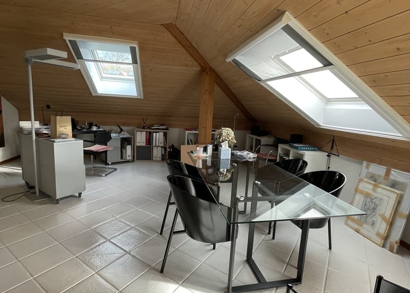 3½ ZI-WOHNUNG IN SOLOTHURN, MÖBLIERT, TEMPORÄR (1)