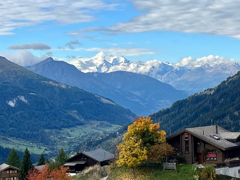 3½ ZI-WOHNUNG IN BELLWALD (VS), MÖBLIERT, TEMPORÄR (1)