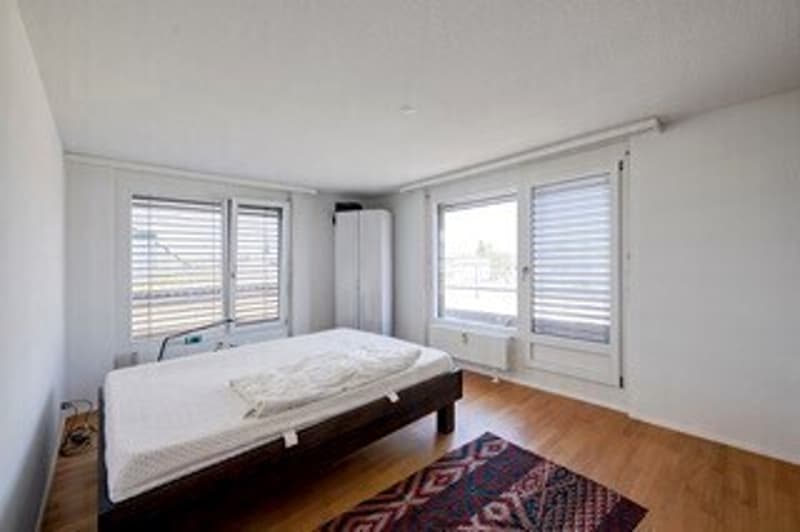 2½ ZIMMER-ATTIKAWOHNUNG IN BERN - LÄNGGASSE, MÖBLIERT, TEMPORÄR (10)