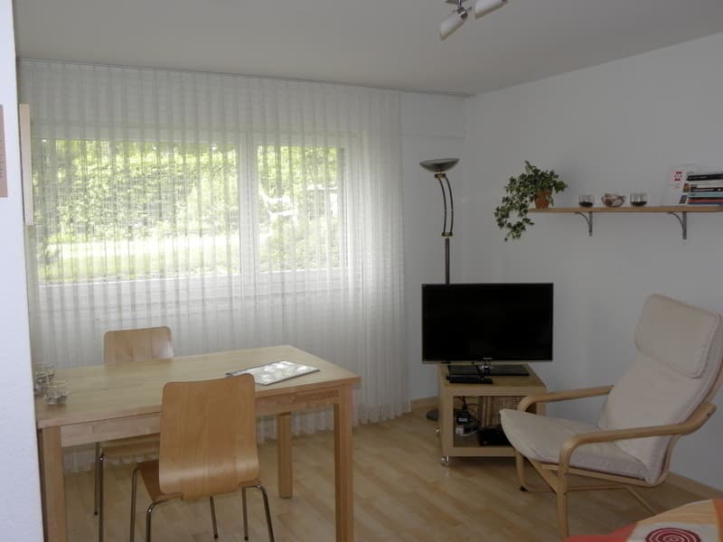 STUDIO IN BOLLIGEN (BE), MÖBLIERT (4)