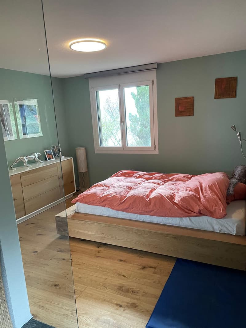 3 ZIMMER-HAUS IN TSCHINGEL OB GUNTEN (BE), MÖBLIERT, TEMPORÄR (4)
