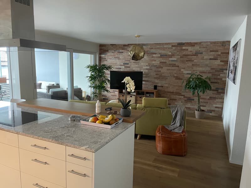 4½ ZI-WOHNUNG IN GRÜNINGEN (ZH), MÖBLIERT, TEMPORÄR (1)