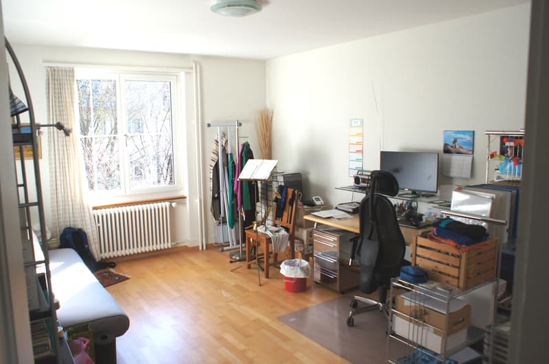 3 ZI-WOHNUNG IN BERN, MÖBLIERT, TEMPORÄR (4)