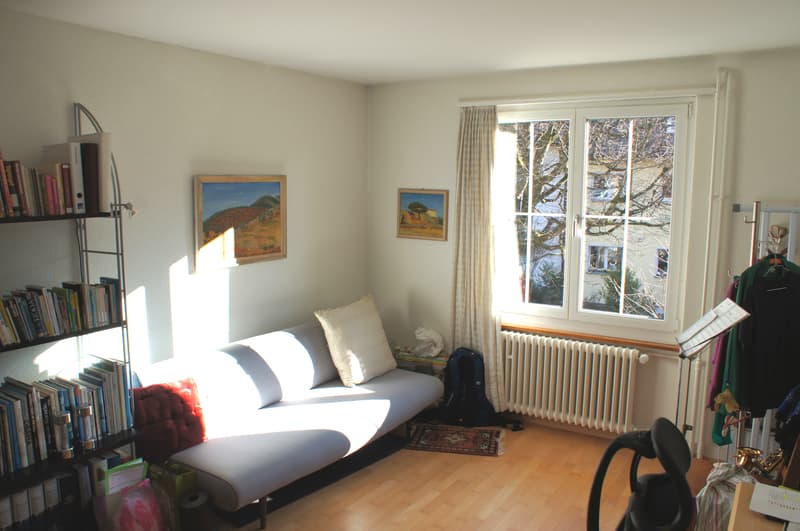 3 ZI-WOHNUNG IN BERN, MÖBLIERT, TEMPORÄR (3)