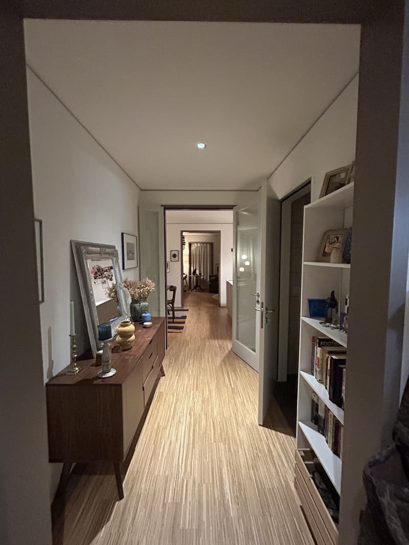 3½ ZI-WOHNUNG IN ZÜRICH - KREIS 9 ALBISRIEDEN, MÖBLIERT, TEMPORÄR (5)