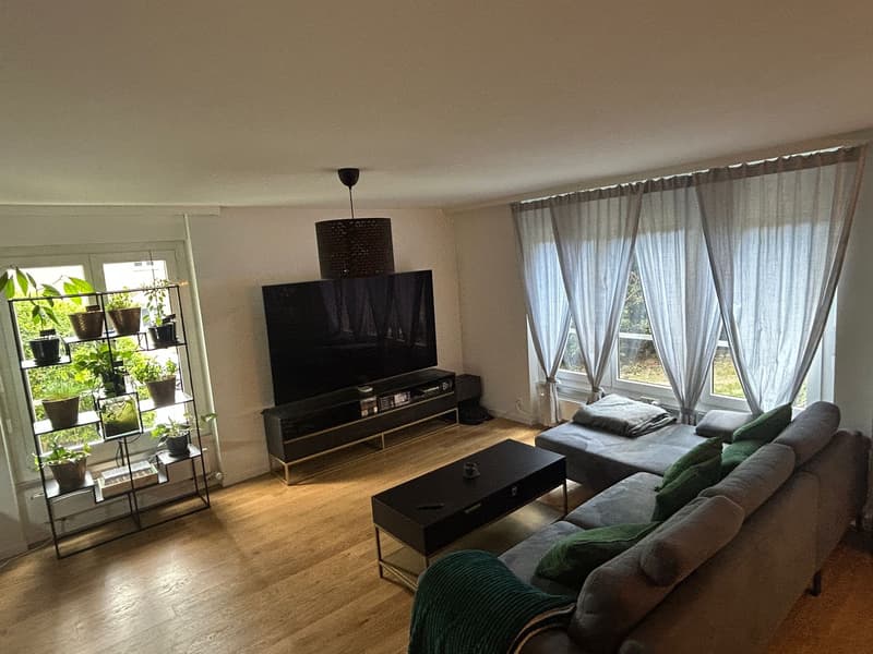 4½ ZI-WOHNUNG IN ZÜRICH - KREIS 10 HÖNGG, MÖBLIERT, TEMPORÄR (1)