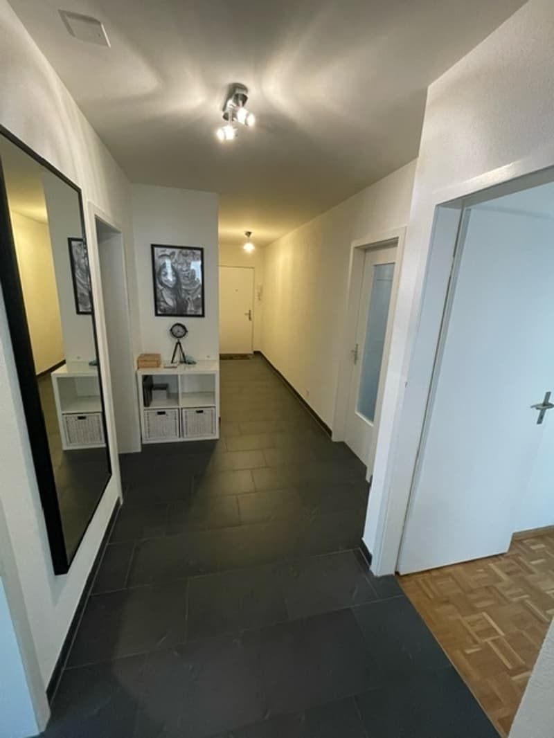 3½ ZI-WOHNUNG IN BOTTMINGEN (BL), MÖBLIERT, TEMPORÄR (9)
