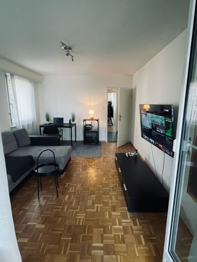 3½ ZI-WOHNUNG IN BOTTMINGEN (BL), MÖBLIERT, TEMPORÄR (2)