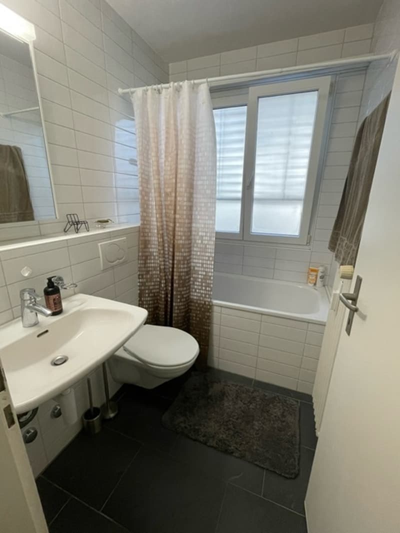 3½ ZI-WOHNUNG IN BOTTMINGEN (BL), MÖBLIERT, TEMPORÄR (5)