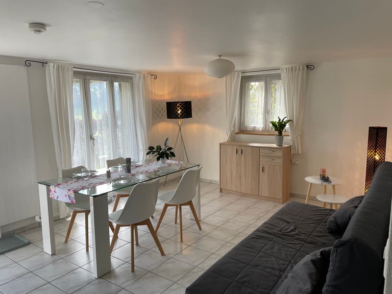 2½ ZI-WOHNUNG IN STETTLEN (BE), MÖBLIERT (2)