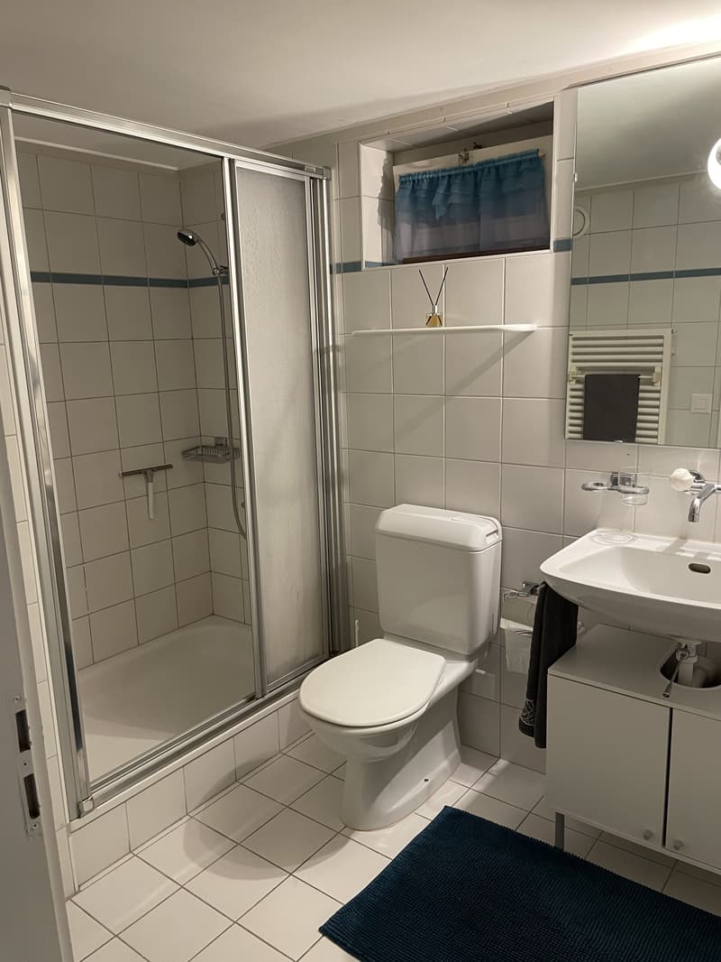 2½ ZI-WOHNUNG IN STETTLEN (BE), MÖBLIERT (6)